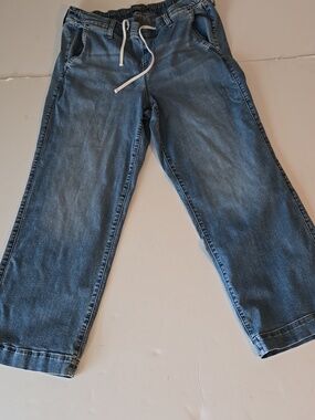 Torrid Wide Leg Jeans Drawstring 1R Size 14-16